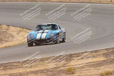 media/Oct-25-2025-West Coast Racing (Sat) [[9fdcbcd09c]]/Yellow group/Turn 3/